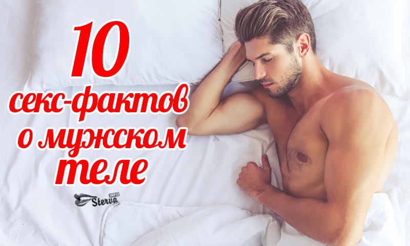 10 Интересных Фактов О Сексе