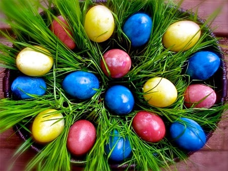 Пасхальные ЭКО-яйца — декор крупой и семенами. ИКрасивые яйца на пасху фото идеи