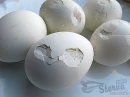 Вареные яйца без трещин