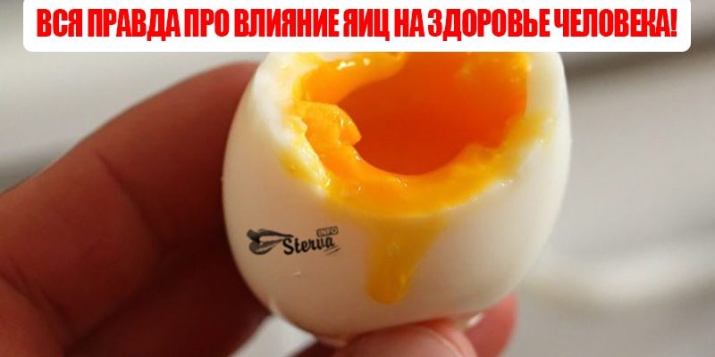 Вся правда про влияние яиц на здоровье человека!