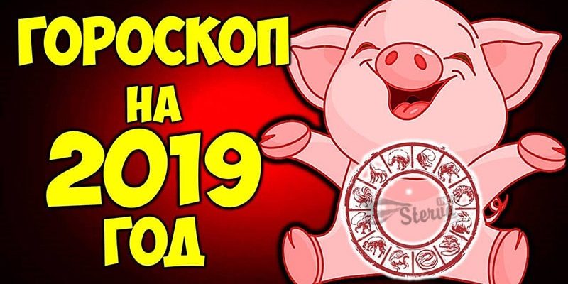 Точный гороскоп на 2019 год свиньи для каждого знака Зодиака-min